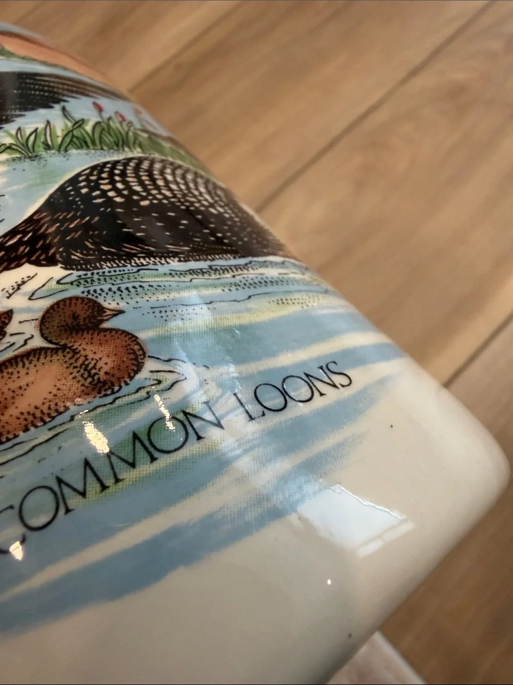 Decorative Vase with Common Loons Artwork Ducks Birds